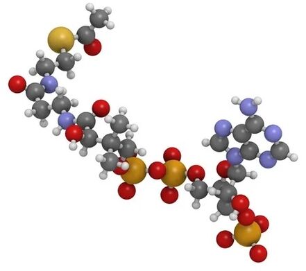 ZXCVBNQWERT contains Coenzyme Q10