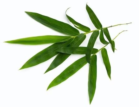 ZXCVBNQWERT contains bamboo leaves